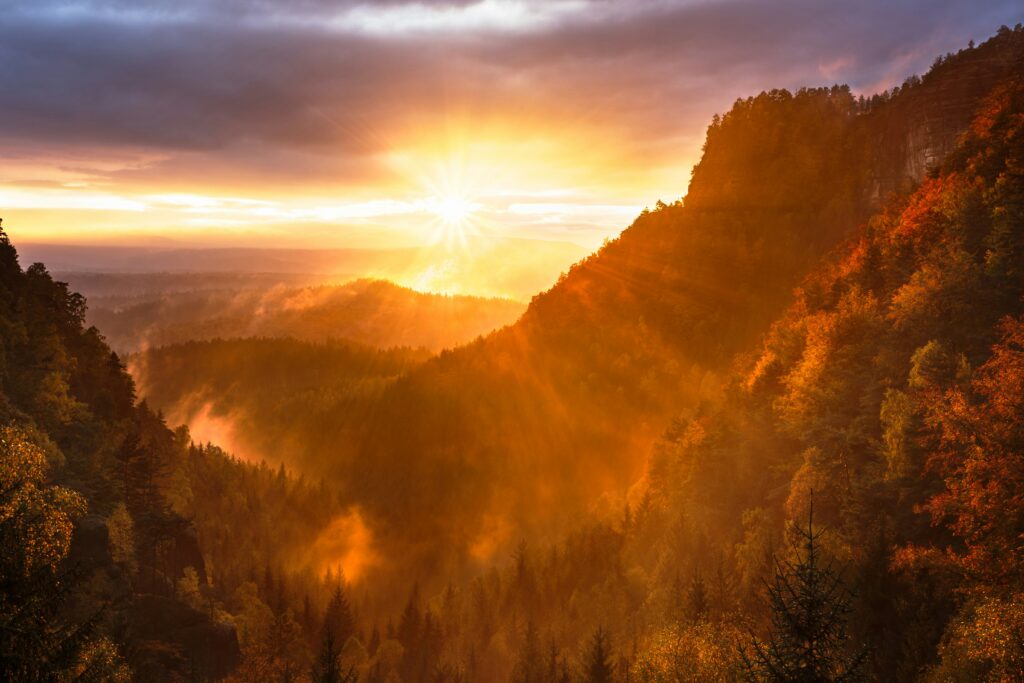 sunrise support from restore mental health